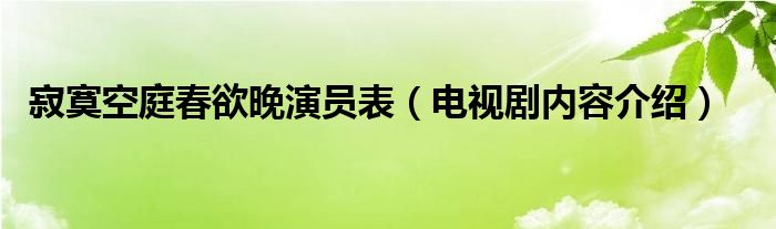 寂寞空庭春欲晚演员表(电视剧内容介绍)
