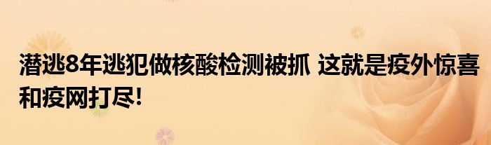 潜逃8年逃犯做核酸检测被抓 这就是疫外惊喜和疫网打尽!