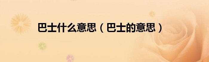 巴士什么意思(巴士的意思)