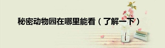 秘密动物园在哪里能看(了解一下)