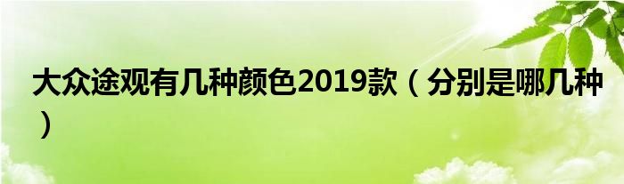 大众途观有几种颜色2019款(分别是哪几种)