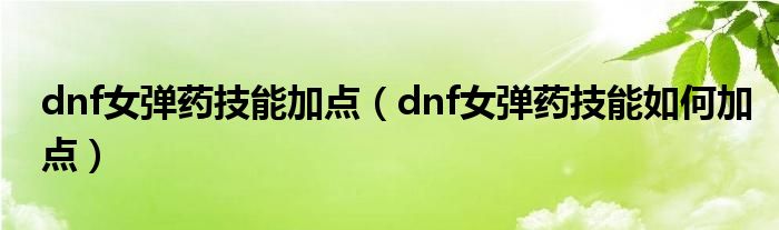 dnf女弹药技能加点(dnf女弹药技能如何加点)