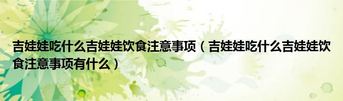 吉娃娃吃什么吉娃娃饮食注意事项(吉娃娃吃什么吉娃娃饮食注意事项有什么)
