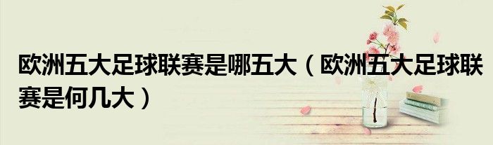 欧洲五大足球联赛是哪五大(欧洲五大足球联赛是何几大)