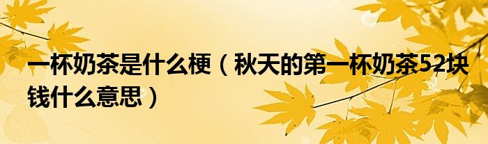 一杯奶茶是什么梗(秋天的第一杯奶茶52块钱什么意思)