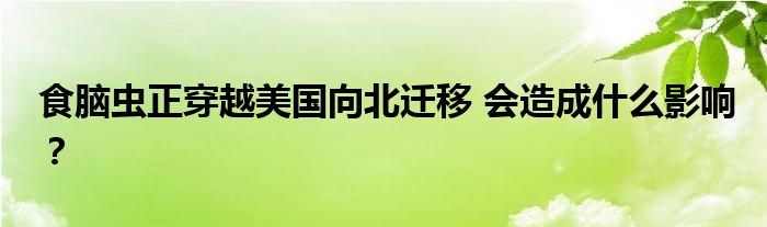 食脑虫正穿越美国向北迁移 会造成什么影响？