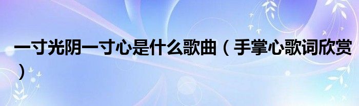 一寸光阴一寸心是什么歌曲(手掌心歌词欣赏)