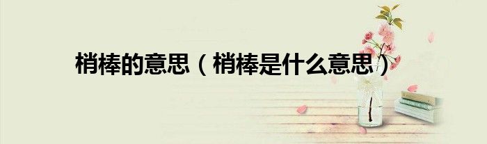 梢棒的意思(梢棒是什么意思)