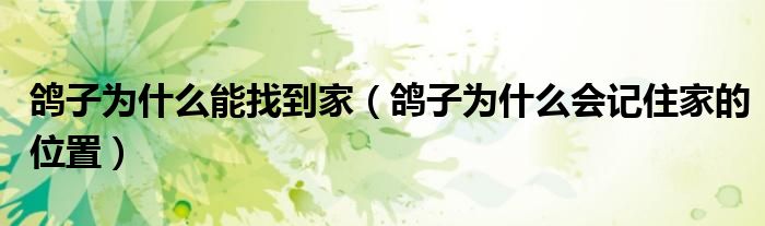 鸽子为什么能找到家(鸽子为什么会记住家的位置)
