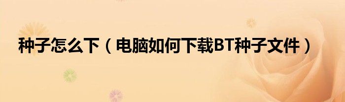 种子怎么下(电脑如何下载BT种子文件)