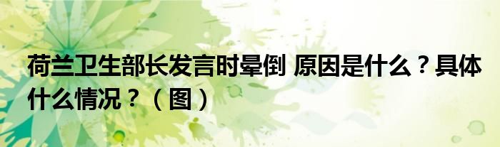 荷兰卫生部长发言时晕倒 原因是什么？具体什么情况？（图）