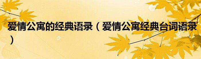爱情公寓的经典语录(爱情公寓经典台词语录)