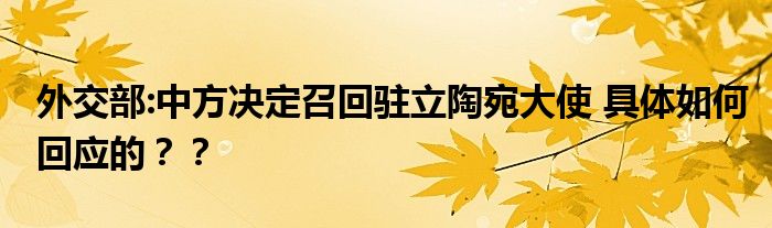 外交部:中方决定召回驻立陶宛大使 具体如何回应的??