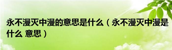 永不漫灭中漫的意思是什么(永不漫灭中漫是什么 意思)