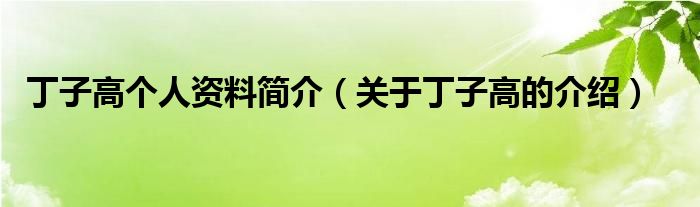 丁子高个人资料简介(关于丁子高的介绍)