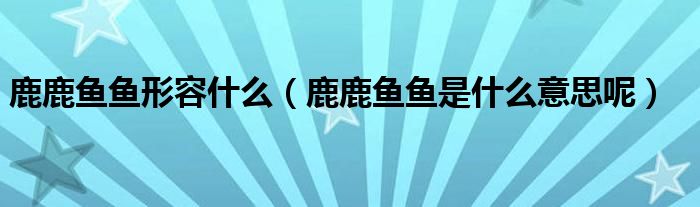 鹿鹿鱼鱼形容什么(鹿鹿鱼鱼是什么意思呢)