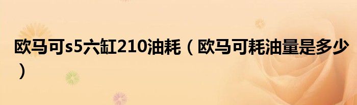欧马可s5六缸210油耗(欧马可耗油量是多少)