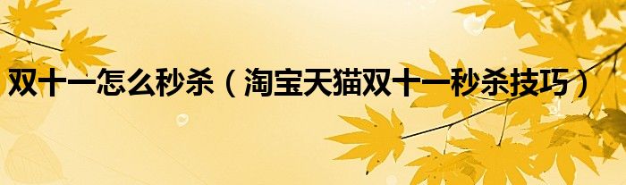 双十一怎么秒杀(淘宝天猫双十一秒杀技巧)