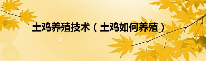 土鸡养殖技术(土鸡如何养殖)