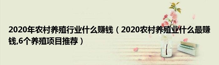 2020年农村养殖行业什么赚钱(2020农村养殖业什么最赚钱,6个养殖项目推荐)