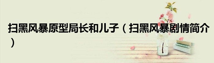 扫黑风暴原型局长和儿子(扫黑风暴剧情简介)
