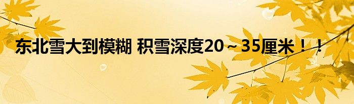 东北雪大到模糊 积雪深度20~35厘米!!