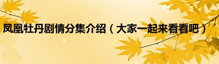 凤凰牡丹剧情分集介绍(大家一起来看看吧)