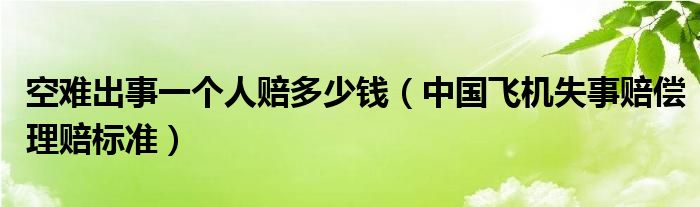 空难出事一个人赔多少钱(中国飞机失事赔偿理赔标准)