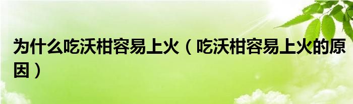 为什么吃沃柑容易上火(吃沃柑容易上火的原因)