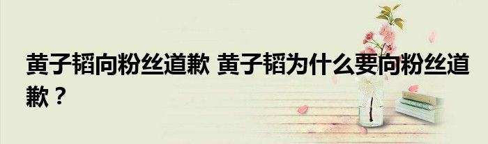 黄子韬向粉丝道歉 黄子韬为什么要向粉丝道歉？