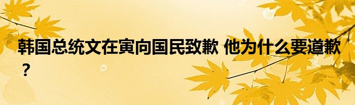 韩国总统文在寅向国民致歉 他为什么要道歉?