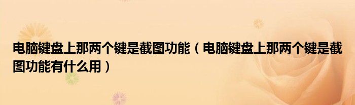 电脑键盘上那两个键是截图功能(电脑键盘上那两个键是截图功能有什么用)
