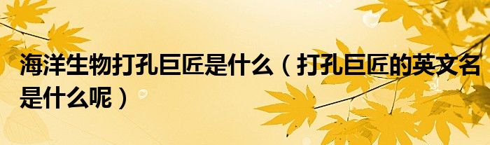 海洋生物打孔巨匠是什么(打孔巨匠的英文名是什么呢)
