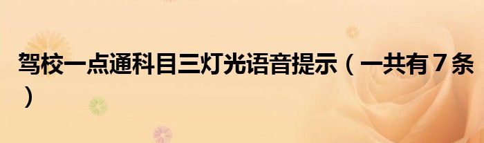 驾校一点通科目三灯光语音提示(一共有7条)