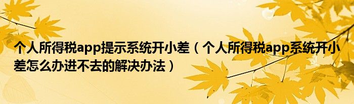 个人所得税app提示系统开小差(个人所得税app系统开小差怎么办进不去的解决办法)
