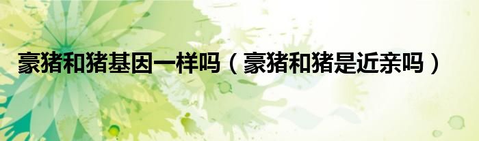 豪猪和猪基因一样吗(豪猪和猪是近亲吗)