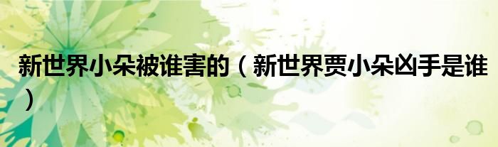 新世界小朵被谁害的(新世界贾小朵凶手是谁)