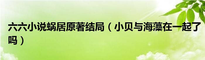 六六小说蜗居原著结局(小贝与海藻在一起了吗)