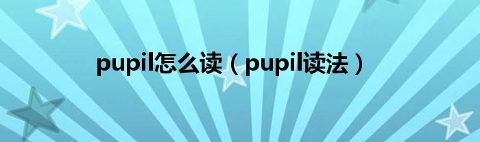 pupil怎么读(pupil读法)