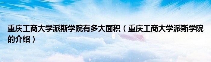 重庆工商大学派斯学院有多大面积（重庆工商大学派斯学院的介绍）