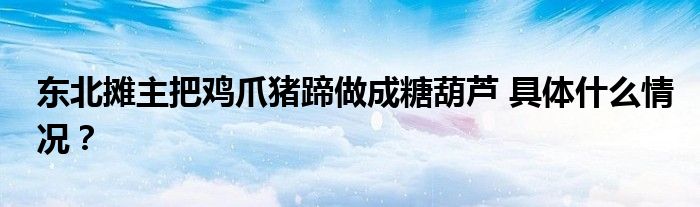 东北摊主把鸡爪猪蹄做成糖葫芦 具体什么情况?