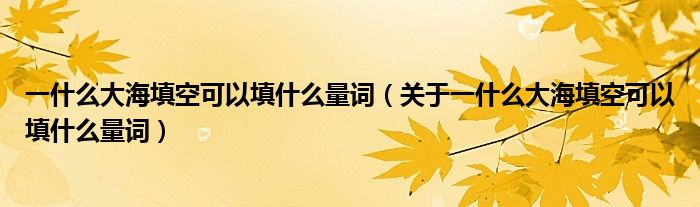 一什么大海填空可以填什么量词(关于一什么大海填空可以填什么量词)