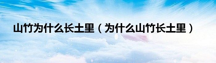 山竹为什么长土里(为什么山竹长土里)
