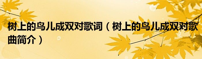 树上的鸟儿成双对歌词(树上的鸟儿成双对歌曲简介)