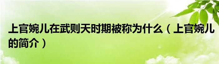 上官婉儿在武则天时期被称为什么(上官婉儿的简介)