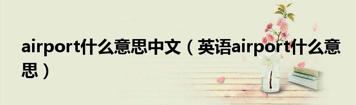 airport什么意思中文(英语airport什么意思)