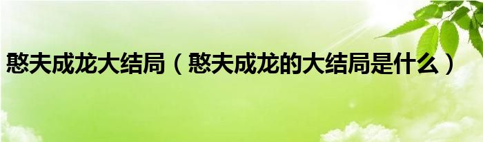 憨夫成龙大结局(憨夫成龙的大结局是什么)