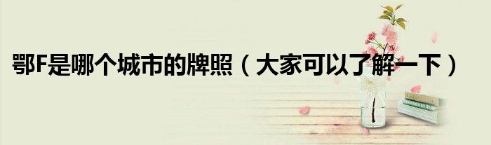 鄂F是哪个城市的牌照(大家可以了解一下)