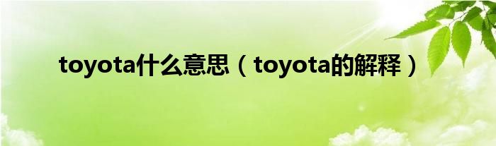 toyota什么意思（toyota的解释）
