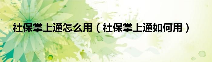 社保掌上通怎么用(社保掌上通如何用)